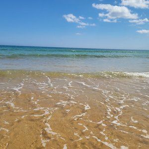 Meet your Posher, MissyTT